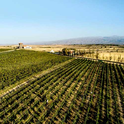 Aragatsotn Wine Region of Armenia