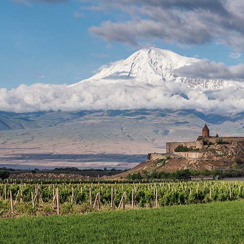 Ararat Winemaking Region of Armenia