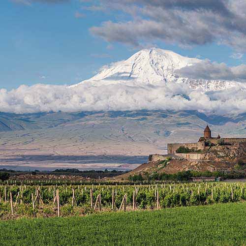 Moossah Wines Discover Winemaking in Armenia