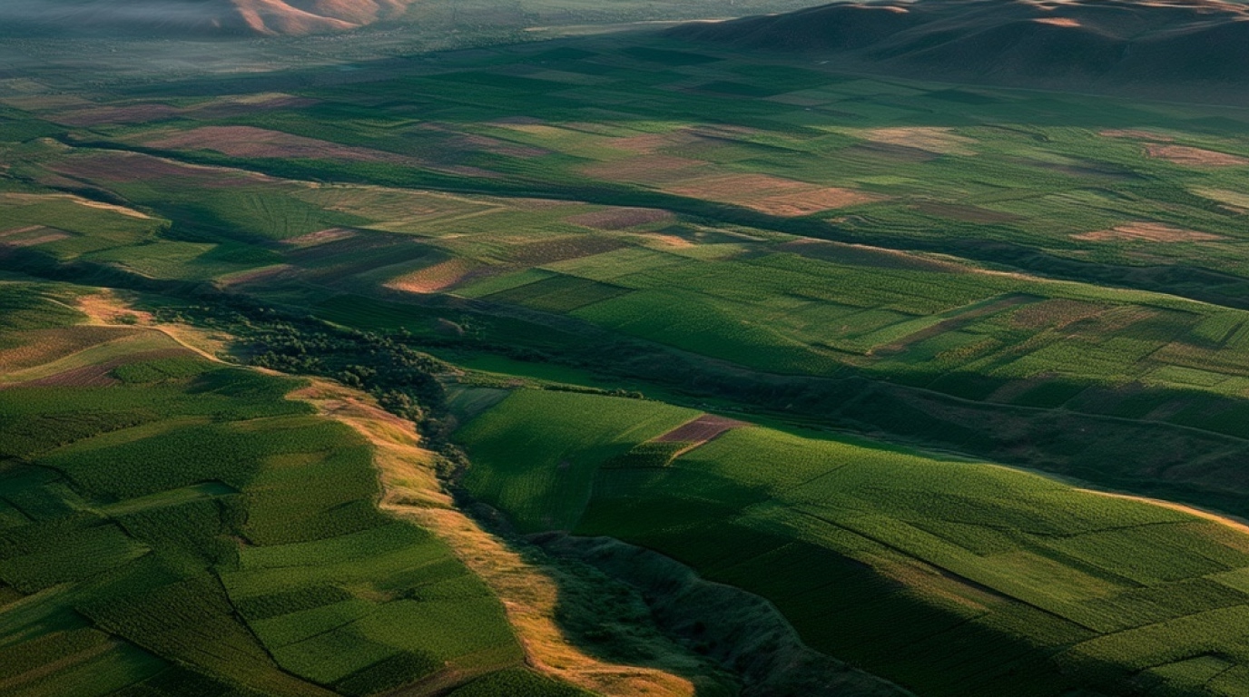 Areni and Vayots Dzor Wines