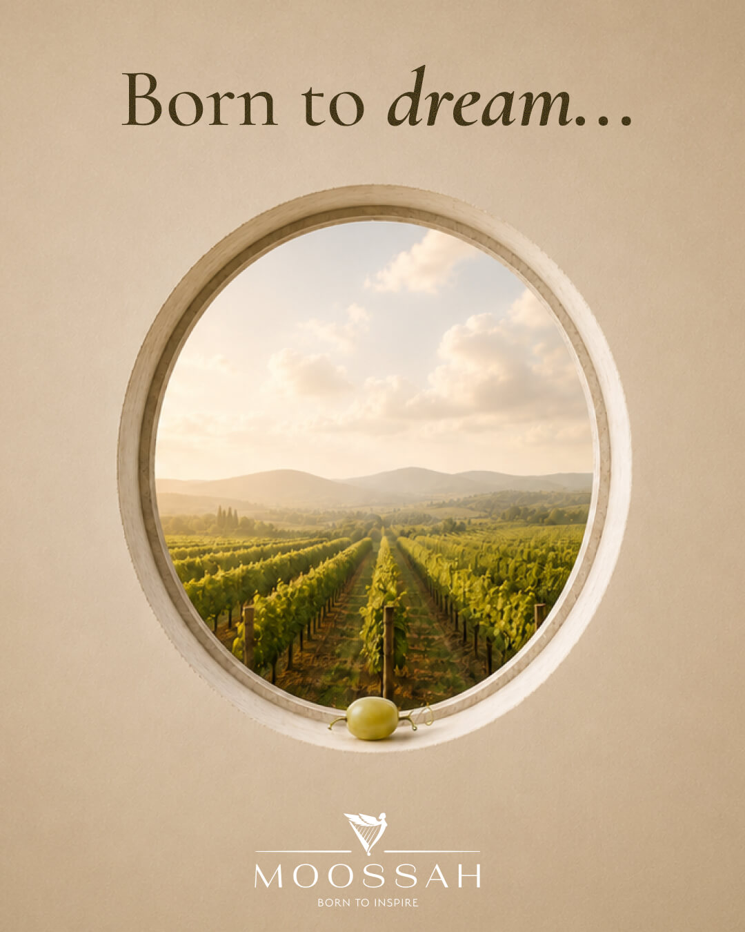 Moossah Voskehat White -- Born to dream