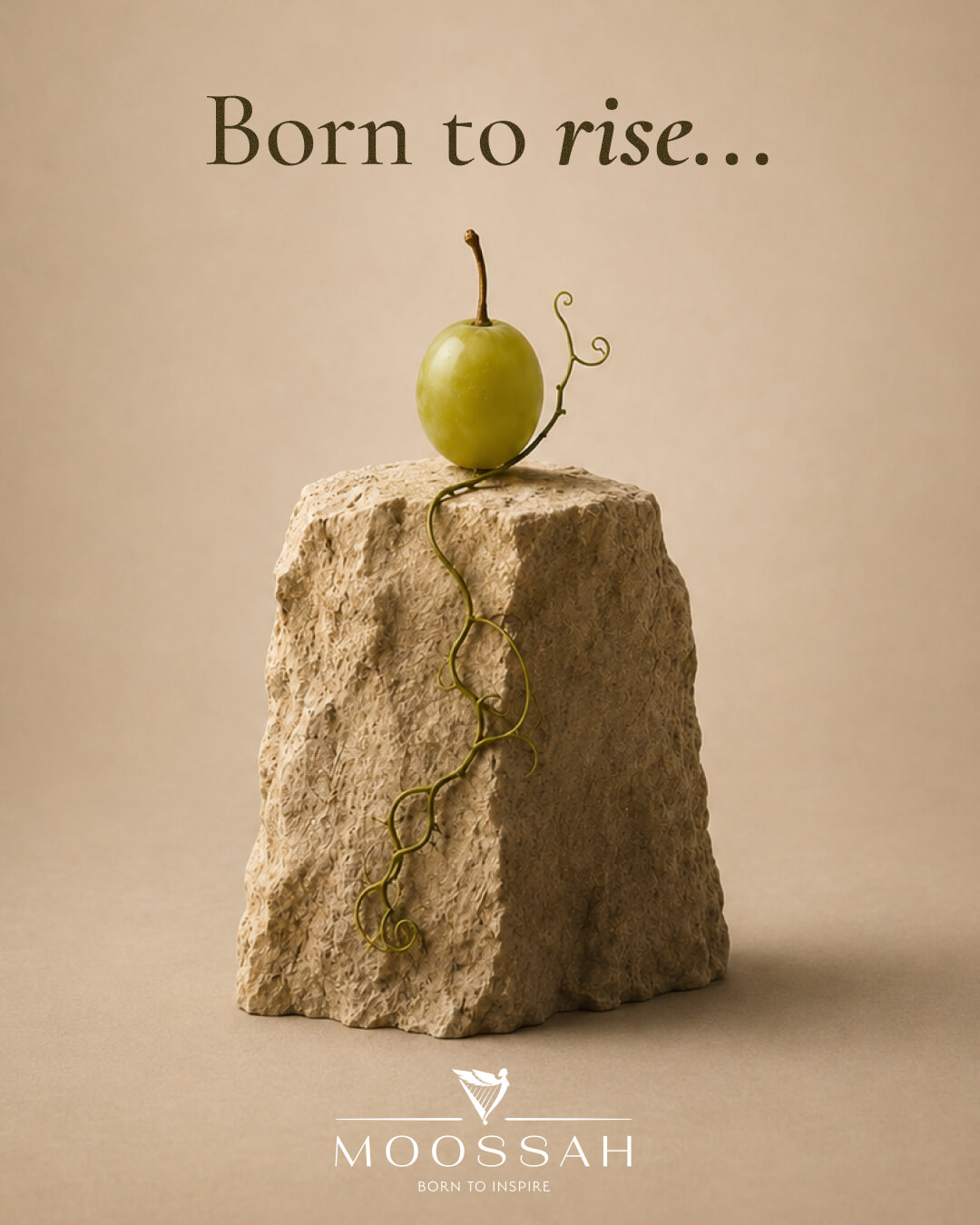Moossah Voskehat White -- Born to take root