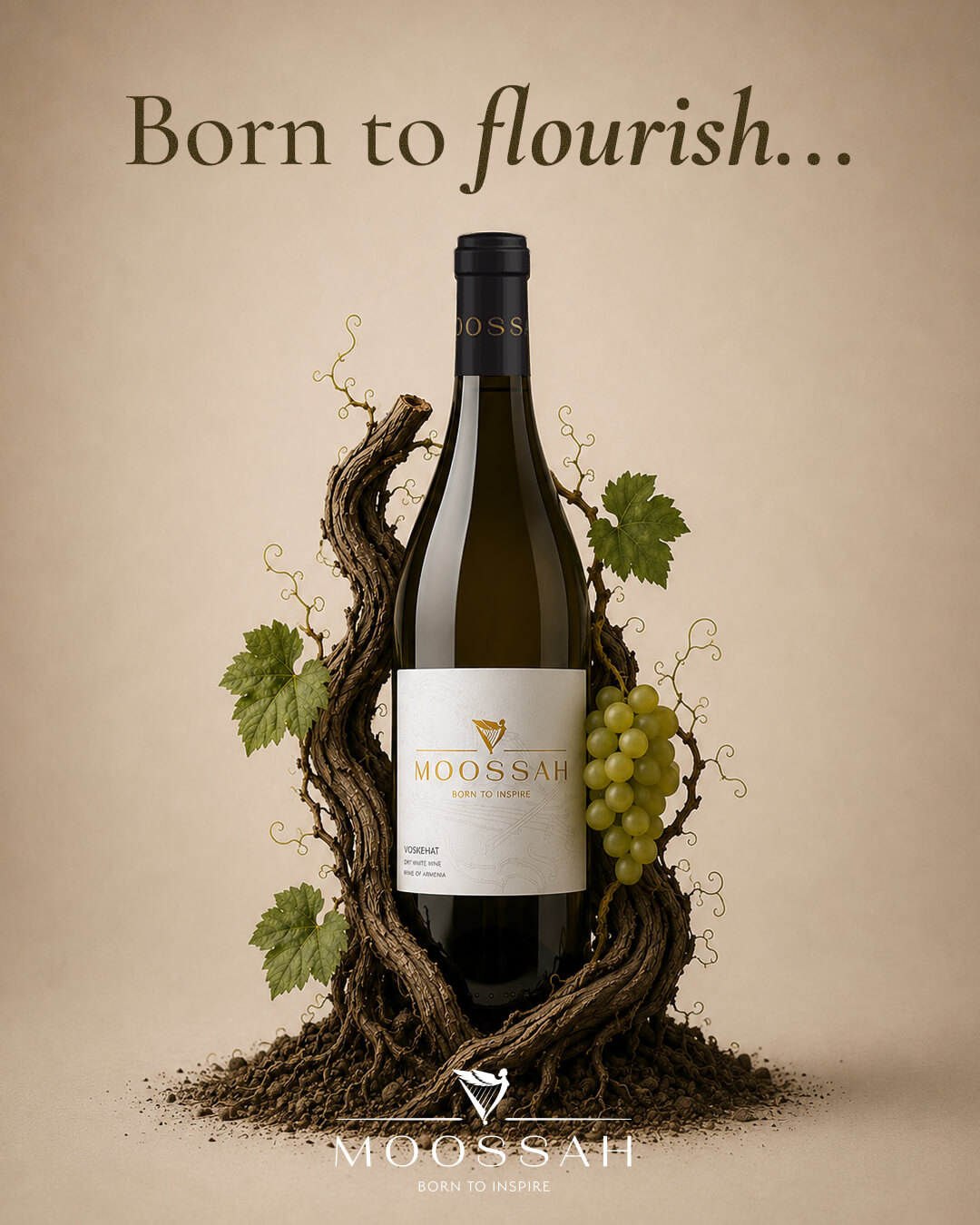 Moossah Voskehat White -- Born to flourish (final)