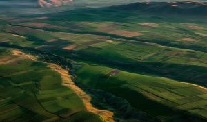 Vayots Dzor Wine Region Areni Wine